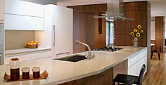 Contemporary Kitchen